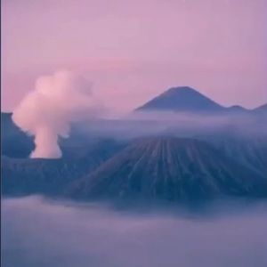 Meet your Posher, Jack